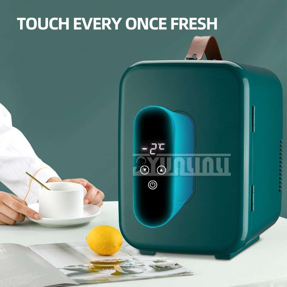 Portable Mini Fridge 12L Car R - Food Storage Zone recension och pris
