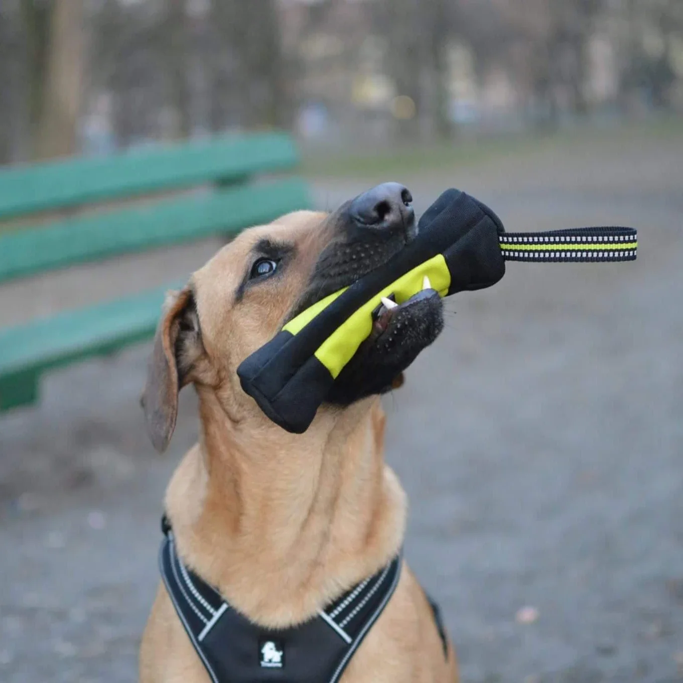 Truelove Dog Training Retrieve - Food Storage Zipper Bags recension och pris