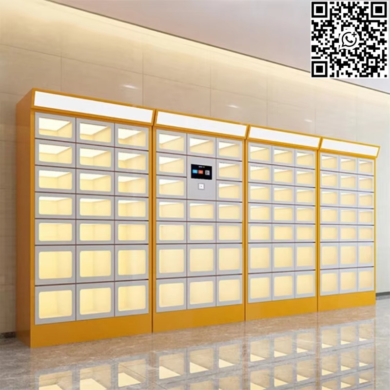 Custom Double Sided Locker Ele - Lock And Lock Food Storage recension och pris