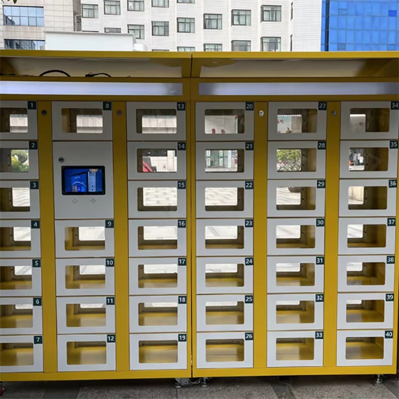 Custom Double Sided Locker Ele - Lock And Lock Food Storage recension och pris