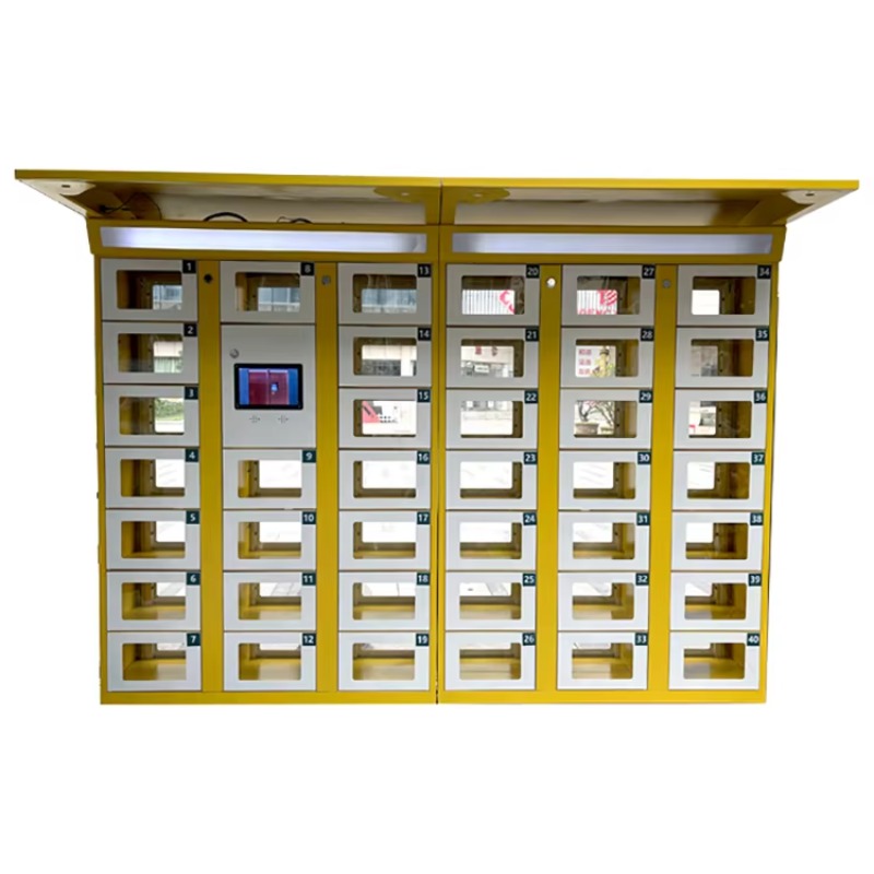 Custom Double Sided Locker Ele - Lock And Lock Food Storage recension och pris
